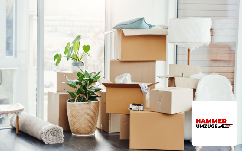 Hammer Umzüge Logo Web Design Agentur Bremen